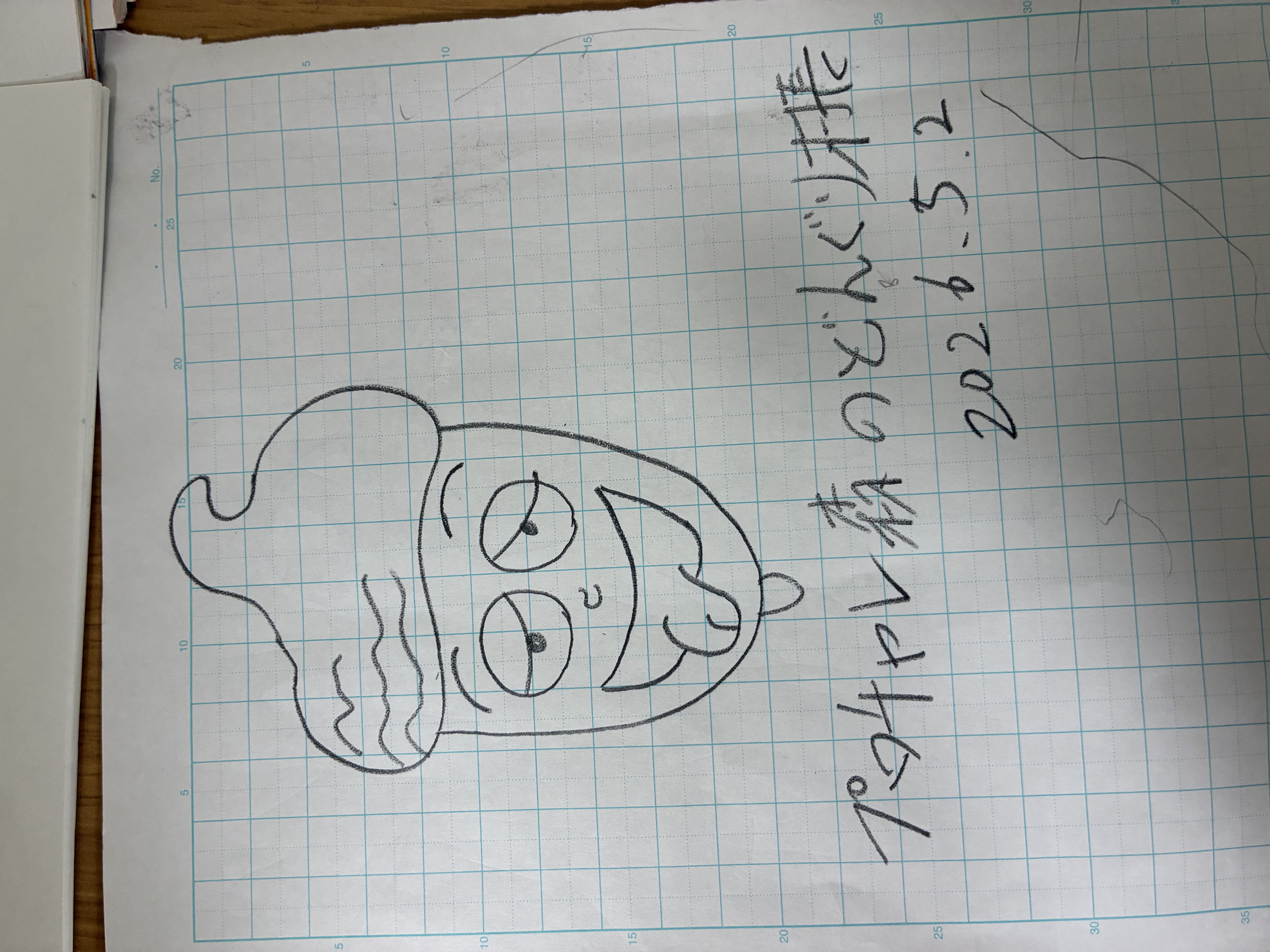 どんぐり村長 手描き原画スケッチ